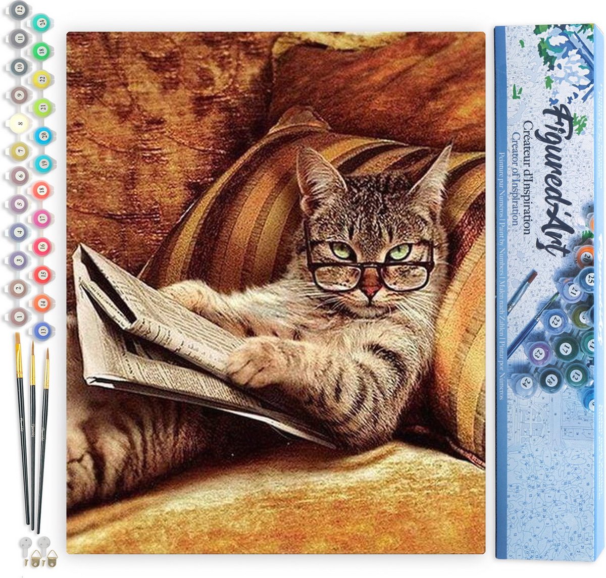 FiguredArt Schilderen op Nummer Volwassenen canvas Knoei niet met deze kat - Handwerk acrylverf Kit DIY Compleet - 40x50cm zonder frame